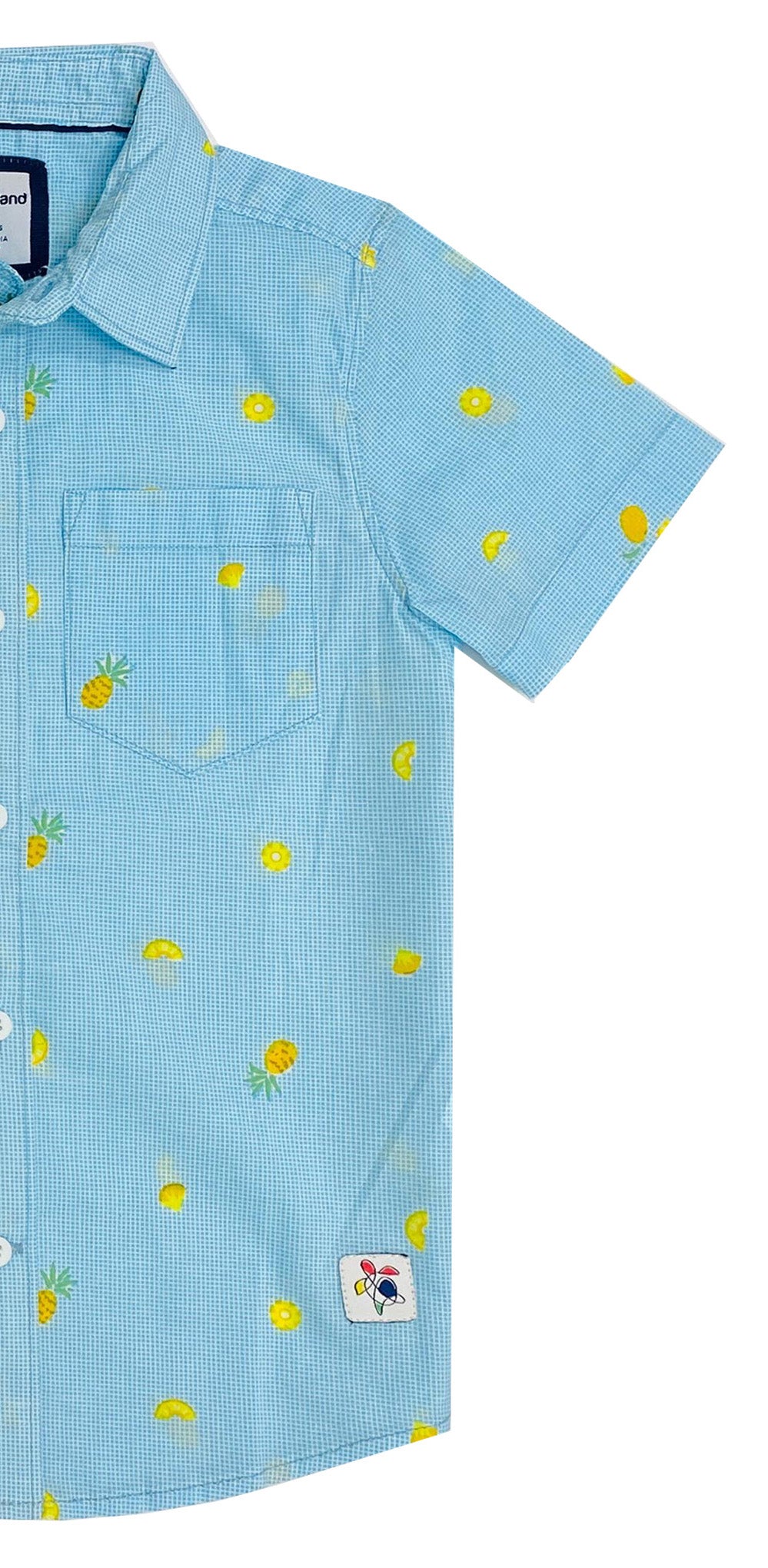 Pineapple Print Shirt